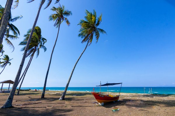 Welche umweltfreundlichen Reiseziele sind besonders empfehlenswert?