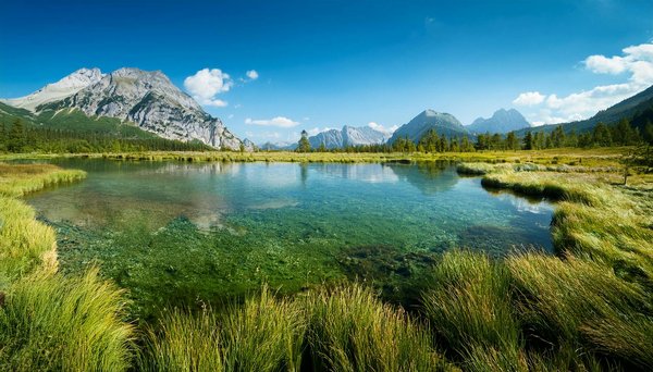 Wie können Kreuzfahrtunternehmen ihre Umweltbilanz verbessern?