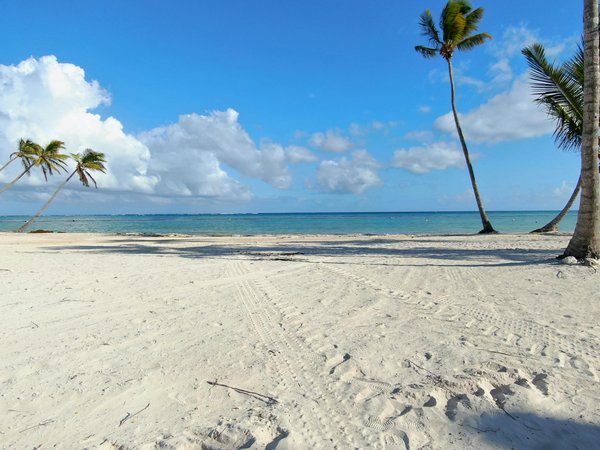 Wie erkenne ich versteckte Gebühren beim Buchen?